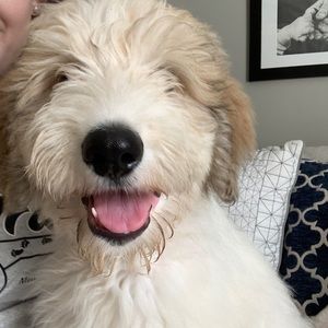 Meet your Posher, Kaylea